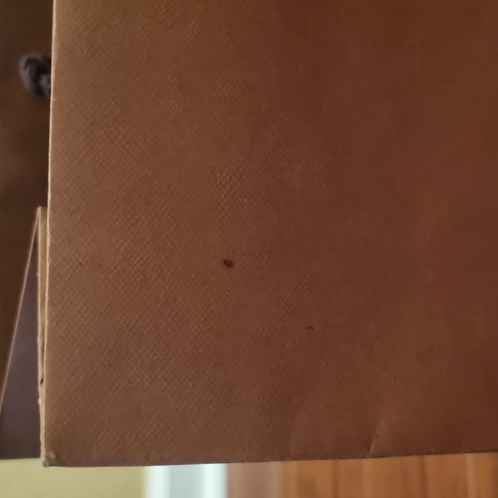 Coach Gift Bag Tan View 5